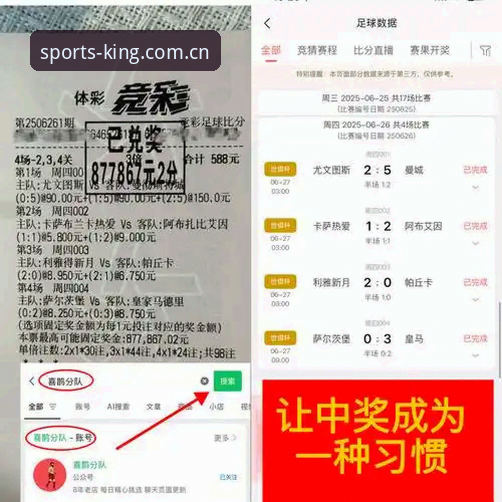 必搏体育官网攻略 vs 自我摸索：哪个更高效？——从入门到精通的深度对比